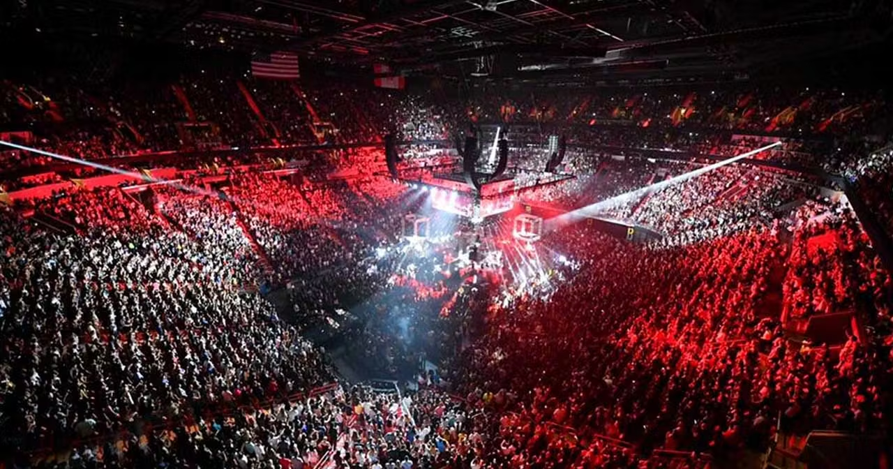 Win a Trip to Meet the Jonas Brothers at their Miami Show & Watch From the Side of Stage