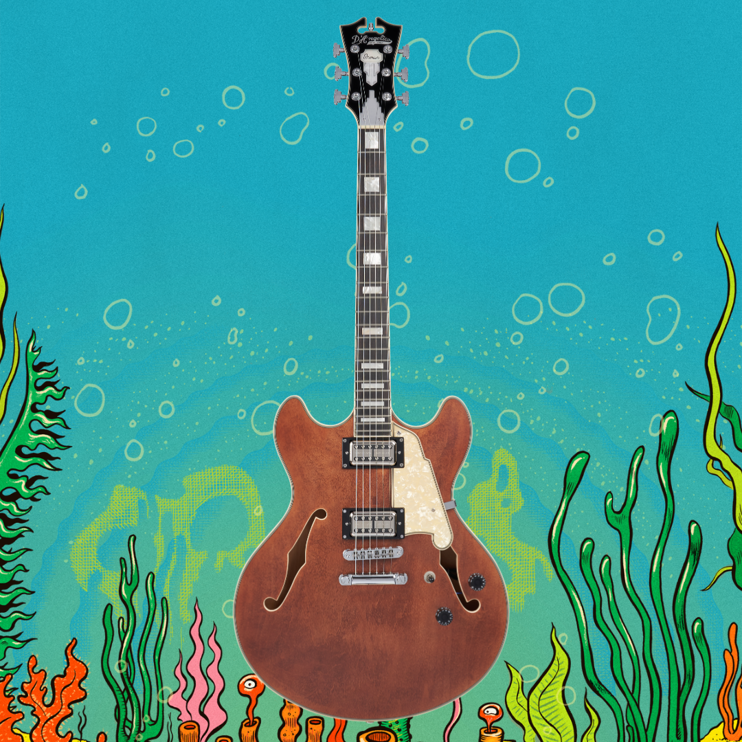 Win a Phish Dick’s “First Fan In” Experience + Band Signed Guitar